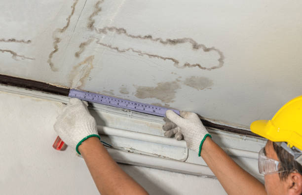 Reliable Mold Remediation contractor in Bar Harbor, ME by Water Damage Irwin